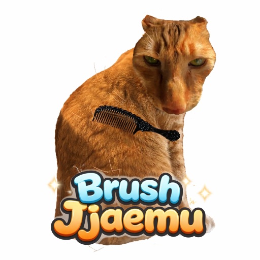 How to play Brush Jjaemu