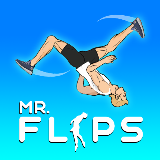 How to play Mr. Flips
